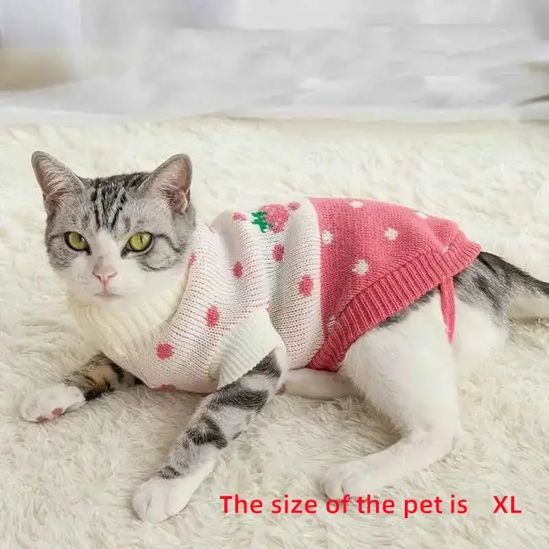 Pet Clothes, Cartoon Strawberry Pattern Pet Sweater, Cute Sweater for Pets, Autumn and Winter Clothes for Pet, Winter Outfits...