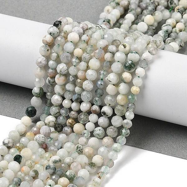 Natural Tree Agate Beads Strands