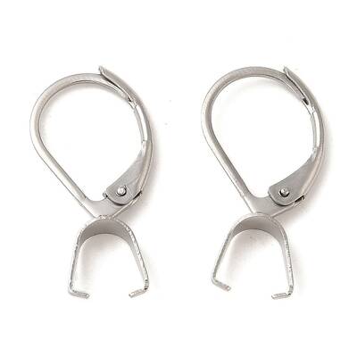 304 Stainless Steel Leverback Earring Findings