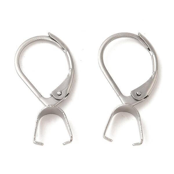 304 Stainless Steel Leverback Earring Findings