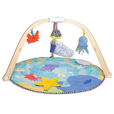 Ocean Easy-Fold Play Gym