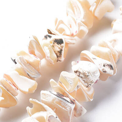 Natural Trochid Shell/Trochus Shell Bead Strands