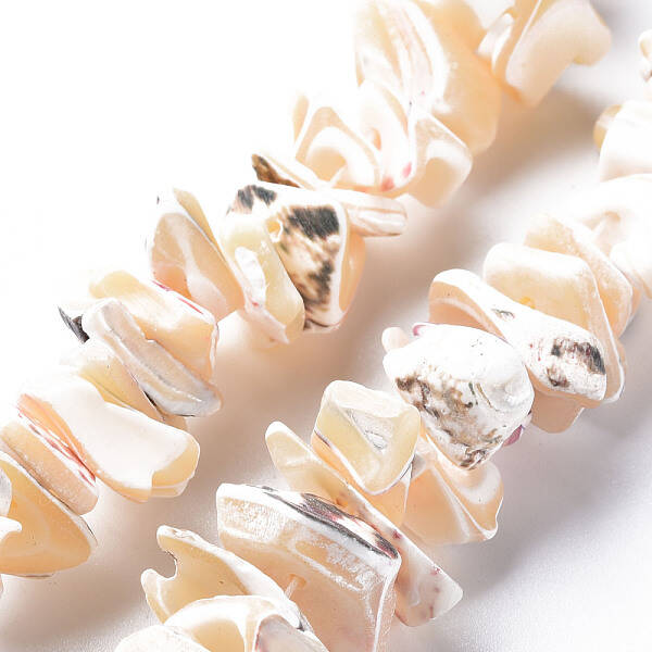 Natural Trochid Shell/Trochus Shell Bead Strands