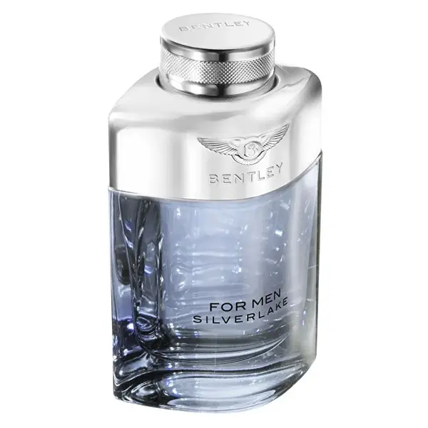 Bentley Silverlake EDP M 100 ml