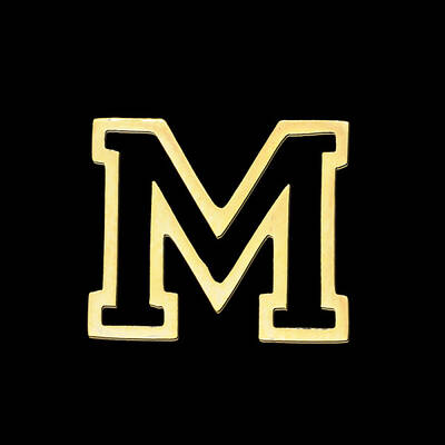 PVD Vacuum Plating 201 Stainless Steel Charms