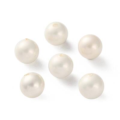 Shell Pearl Beads