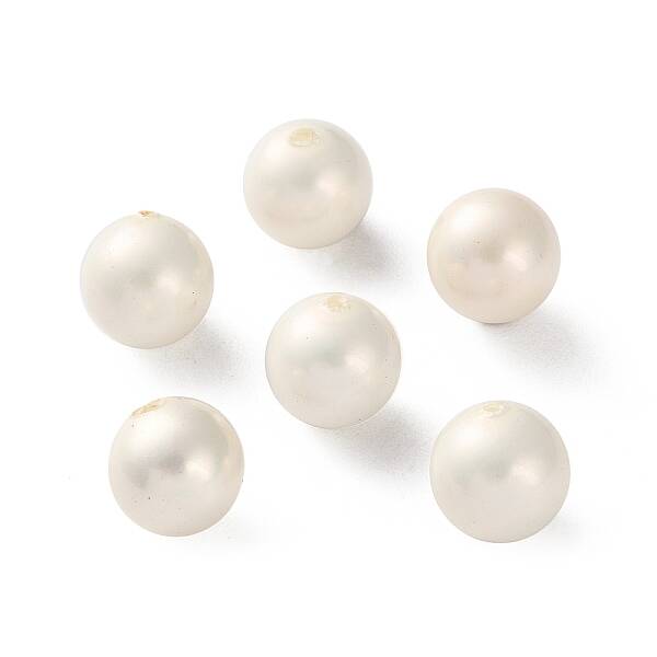 Shell Pearl Beads