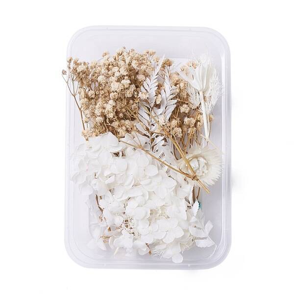 Dried Flowers