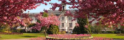 Cardiff's Civic Centre