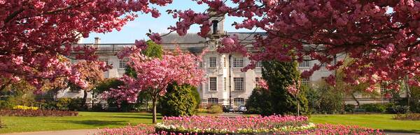 Cardiff's Civic Centre