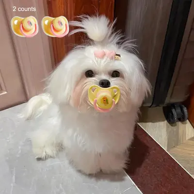 Cute Mini Pacifier for Dogs, 2 Counts/set Food Grade Silicone Pacifier for Dogs and Cats, Pet Chew Toy, Dog & Cat Accessories