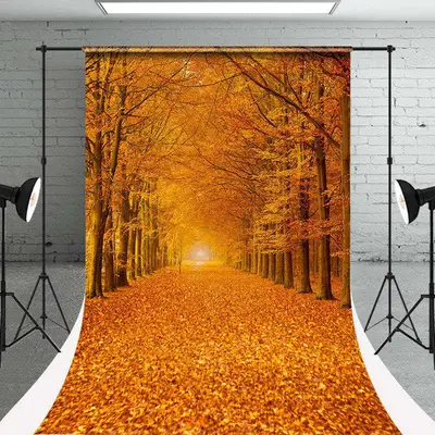 Autumn Maple Tree Leaves Photography Sweep Backdrop - Aperturee
