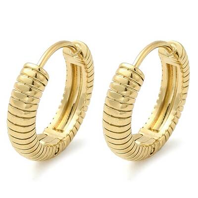 304 Stainless Steel Hoop Earrings