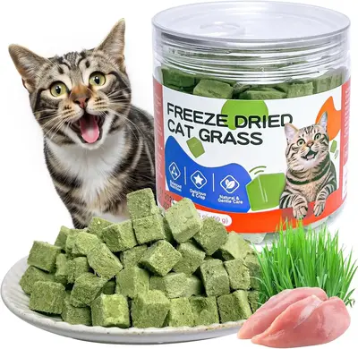 Freeze-Dried Cat Grass Treats with Premium Gourmet Blend - Natural Hairball Control & Gut Health Support for Cats (Chicken Br...