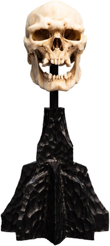 WETA Workshop Polystone - The Lord of the Rings Trilogy - Skull of a Mordor Orc Miniature Polystone Statue