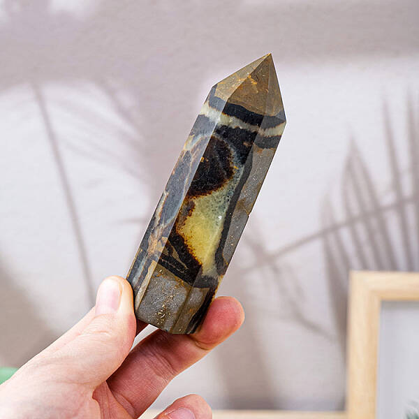 Natural Beetle Stone Sculpture
