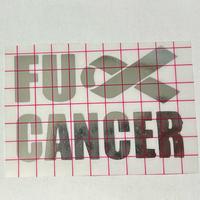 ***FU CANCER decal*** *high quality permanent vinyl*