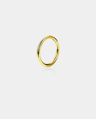 18G Hinged Segment Titanium Nose Hoop - Gold / 12mm