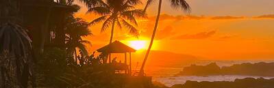 Driving O’ahu’s Legendary North Shore: A Surf and Adventure Tour