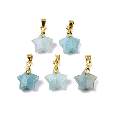 Natural Amazonite Charms