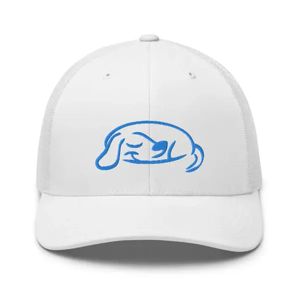 BuddyRest Logo Trucker Cap | Color: White