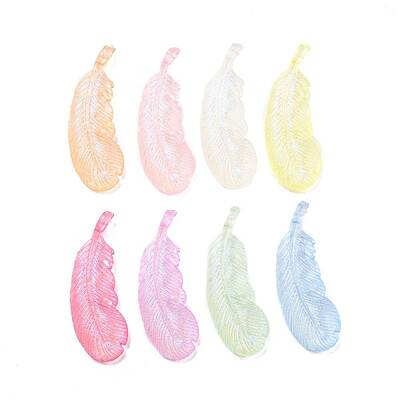Transparent Acrylic Pendant