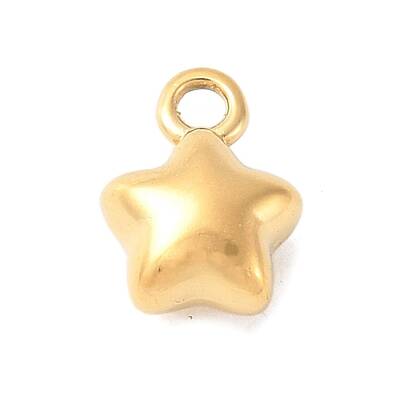 304 Stainless Steel Charms