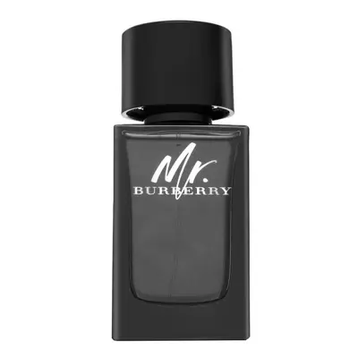 Burberry Mr. Burberry Eau de parfum for men 100 ml