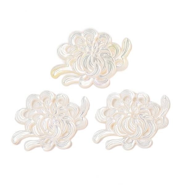 Natural White Shell Carved Cabochons