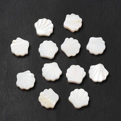 Natural Freshwater Shell Beads