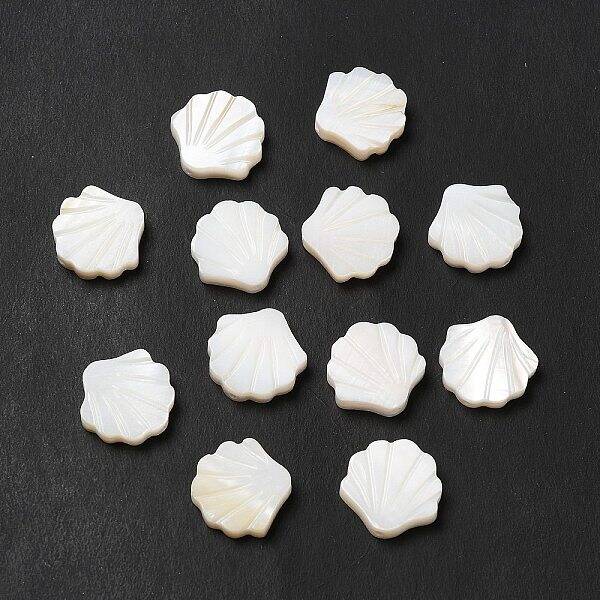 Natural Freshwater Shell Beads