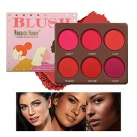 6 Color Blush Palette, Long Lasting Matte Blush Palette, Waterproof Blush for All Skins, Natural Face Makeup for Christmas Gi...