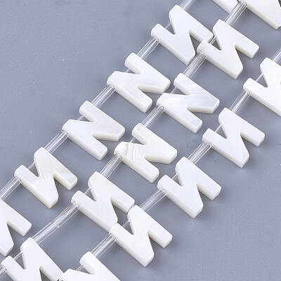 Natural Freshwater Shell Beads