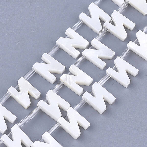 Natural Freshwater Shell Beads
