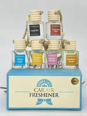 6 Combo Pick Scent Car Freshener Hanging Air Diffuser Made in USA Long Lasting car  accessories