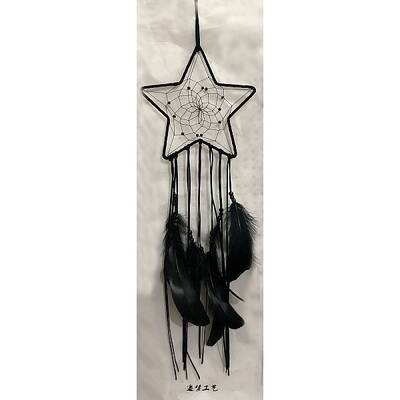 Woven Web/Net with Feather Pendant Decorations