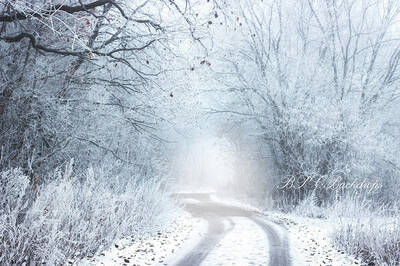 Aperturee Snow Winter Wonderland Forest Photography Backdrop