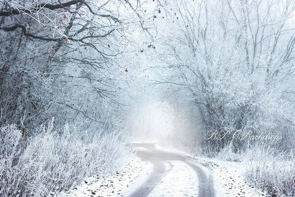 Aperturee Snow Winter Wonderland Forest Photography Backdrop