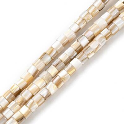 Natural Freshwater Shell Beads Strands