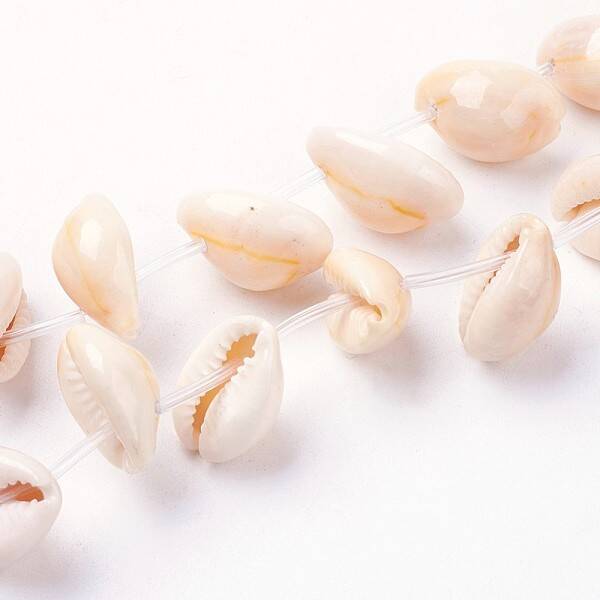 Natural Cowrie Shell Beads Strands