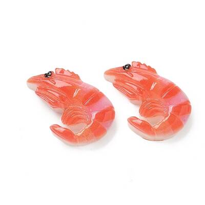 Resin Cabochons