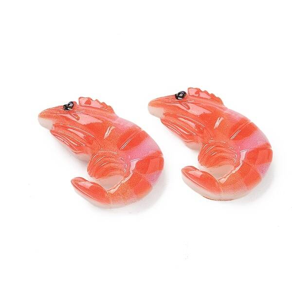 Resin Cabochons
