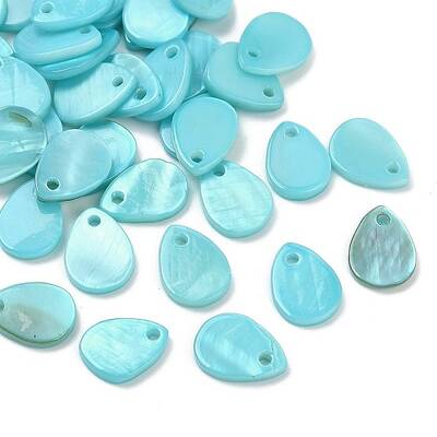 Spray Painted Natural Freshwater Shell Teardrop Charms