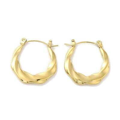 304 Stainless Steel Hoop Earrings for Women