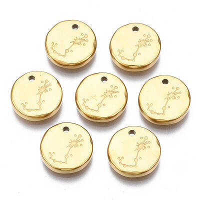 316 Surgical Stainless Steel Charms