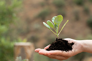 Basics of Ecology