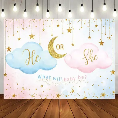 Blue Pink He Or She Cloud Gender Reveal Backdrop - Aperturee