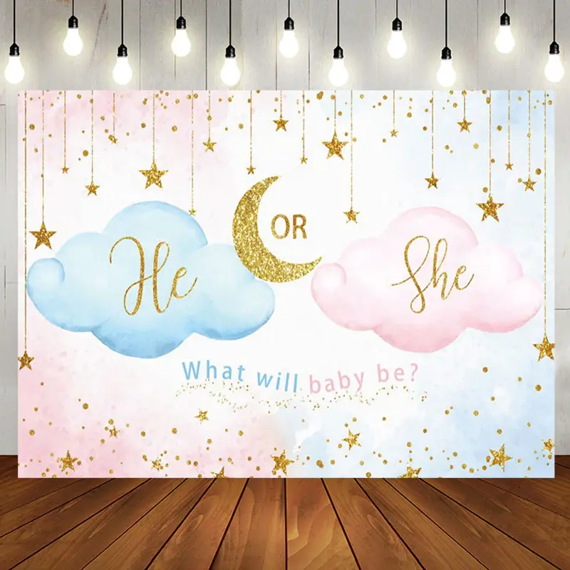 Blue Pink He Or She Cloud Gender Reveal Backdrop - Aperturee