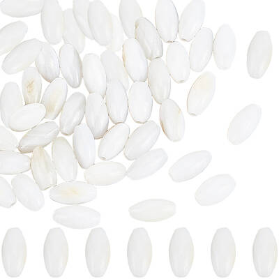 100Pcs Dyed Natural Shell Beads