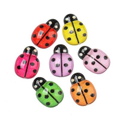 Transparent Resin Insect Decoden Cabochons